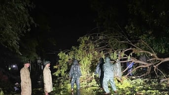 Bộ Chỉ huy Quân sự tỉnh Nghệ An huy động cán bộ, chiến sĩ dọn dẹp cây đổ sau bão số 5