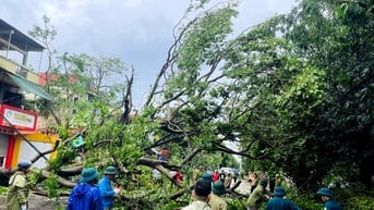 Xuyên trưa cắt dọn cây gãy đổ, nhanh chóng đảm bảo giao thông an toàn cho người dân