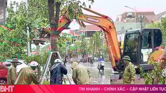 Nỗ lực "cứu" cây xanh sau bão số 5 ở đô thị trung tâm Hà Tĩnh