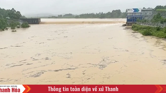 Phát lệnh báo động III trên sông Lèn, sẵn sàng triển khai phương án bảo vệ đê