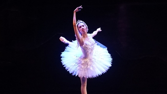 ការអំពាវនាវរបស់របាំបាឡេ Swan Lake