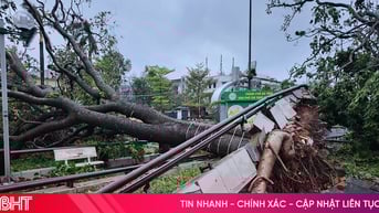 Nhiều đường phố Hà Tĩnh ngổn ngang sau bão số 5