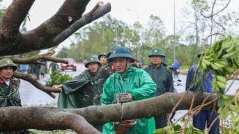 Cửa Lò huy động các lực lượng vào cuộc khắc phục hậu quả sau bão số 5