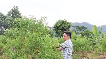 Đổi thay ở Kim Bắc