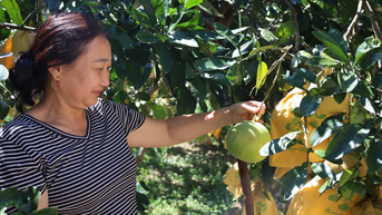 Vượt khó lập nghiệp nơi vùng cao