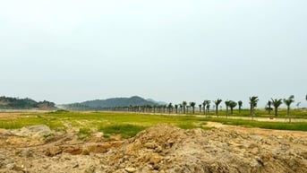 Tăng tốc triển khai Khu công nghiệp Tân Đức