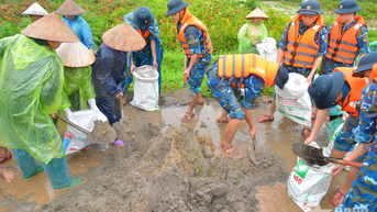 Bộ đội và dân quân tham gia ngăn lũ tràn đê sông Tích, bảo vệ hoa màu của nhân dân