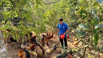"Chắp cánh" cho thanh niên DTTS lập thân, lập nghiệp