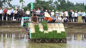 Từ đất hoang thành 'cánh đồng công nghệ' ở Việt Khê
