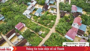 Hàng trăm ngôi nhà ở Hà Trung chìm trong nước, dân sơ tán đồ đạc, vật nuôi lên đê tránh lũ