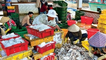 Sức sống mới đô thị ven biển