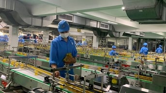 Quyết tâm thực hiện mục tiêu tăng trưởng kinh tế