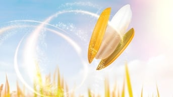 Lợi thế giúp người Việt dễ tiếp cận loại dầu ăn tốt cho tim