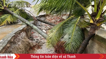 Sụt lún đê kè biển Hải Tiến
