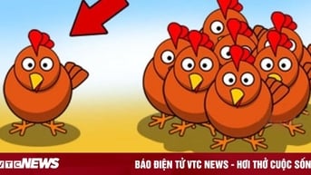 Chỉ ai thông minh mới tìm ra câu đố đuổi hình bắt chữ này