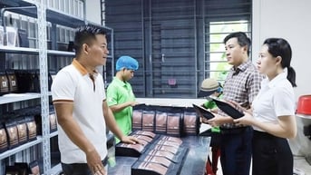 Agribank đồng hành cùng nền nông nghiệp xanh, sạch, hiện đại