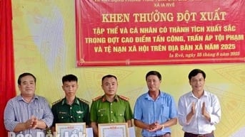 Khen thưởng đột xuất lực lượng ngăn chặn xâm chiếm đất rừng