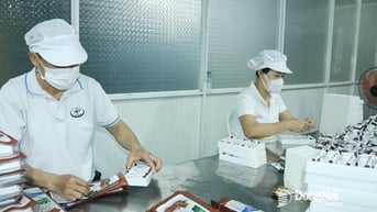 Cần tạo điều kiện cho doanh nghiệp nhỏ và vừa