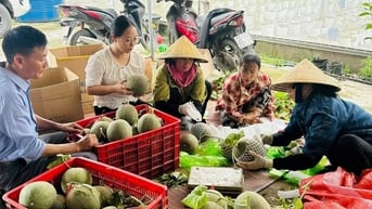 Kết nối tiêu thụ hàng tấn nông sản, sẻ chia cùng bà con Nghệ An sau bão số 5