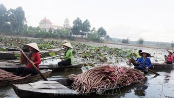 Khai thác lợi thế đa dạng, Tây Ninh tăng tốc phát triển du lịch