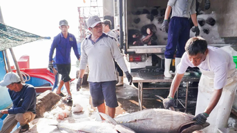 Khánh Hòa phát động thi đua cao điểm, quyết gỡ "thẻ vàng" IUU