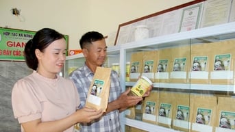 많은 이점이 OCOP Nghe An의 발전을 위한 원동력을 제공합니다.