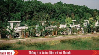 Nghệ thuật sống chậm tại LAMORI Resort & Spa