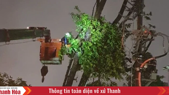 Đã cấp điện lại cho toàn bộ khách hàng ở khu vực không bị ngập nước, chia cắt
