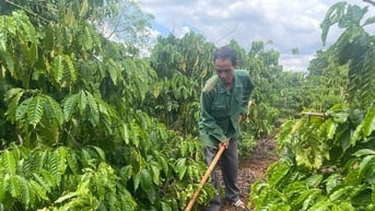 Hỗ trợ đồng bào thoát nghèo