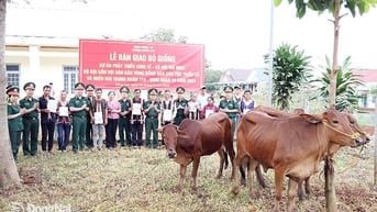 Trung đoàn 719 tặng bò giống cho 32 hộ gia đình có hoàn cảnh khó khăn