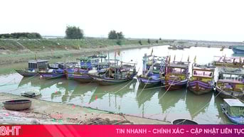 Cảnh báo tàu, thuyền không ra khơi khi áp thấp nhiệt đới khả năng thành bão