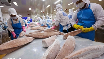 ពង្រឹងការតាមដាន ធានាគុណភាពនាំចេញផលិតផលកសិកម្ម រុក្ខាប្រមាញ់ និងនេសាទ