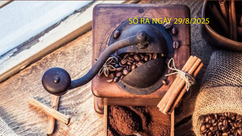 Bản tin Thị trường Nông lâm thủy sản số ra ngày 29/8/2025