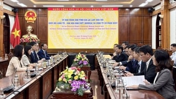 KOVECA: mong muốn kết nối và mở đường bay trực tiếp giữa Quy Nhơn và Hàn Quốc