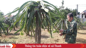 គំរូសេដ្ឋកិច្ចតំបន់ខ្ពង់រាបធម្មតា។