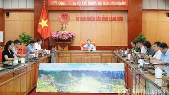 Chính phủ họp trực tuyến lấy ý kiến về Dự thảo Luật Sửa đổi, bổ sung một số điều của Luật Đất đai năm 2024