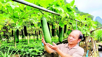 Người nông dân tiên phong làm giàu