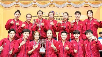 Cầu mây Việt Nam nỗ lực khẳng định vị thế