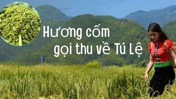 Hương cốm gọi thu về Tú Lệ