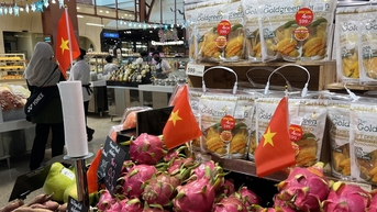 គំរូ "ម៉ាកឆ័ត្រ" សម្រាប់ផលិតផលកសិកម្មវៀតណាម