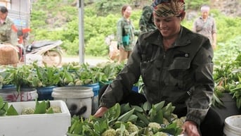 Thương hiệu Na Chi Lăng và khát vọng vươn xa
