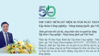 Thư chúc mừng 50 năm kỷ niệm ngày thành lập Tập đoàn Công nghiệp - Năng lượng Quốc gia Việt Nam