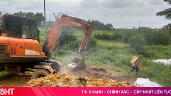 ជ្រូកចំនួន 74 ក្បាលត្រូវបានបំផ្លាញដោយសារតែជំងឺប៉េស្តជ្រូកអាហ្វ្រិក