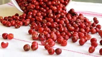 Giá tiêu hôm nay 4/8/2025: Tuần qua tăng nhẹ