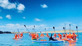 Du lịch “chữa lành” ở Đặc khu Phú Quý