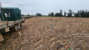 Gian nan thu gom, xử lý hàng trăm tấn rác ở Hà Tĩnh