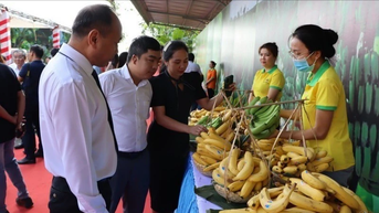 ជំរុញការនាំចេញកសិផលទៅប្រទេសជប៉ុន