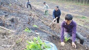 Bac Ninh៖ ដាំ​ព្រៃ​លើស​ផែនការ​ប្រចាំ​ឆ្នាំ