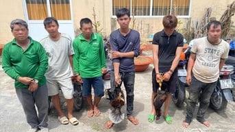 Xã Tri Tôn triệt xóa tụ điểm đá gà ăn thua bằng tiền