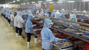 Thuế đối ứng 20%: Sẽ không tạo ra tác động đến dịch chuyển đầu tư